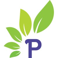 IndigoPathway logo - Similar company to Canvas Of Colors