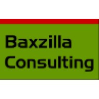 Baxzilla Consulting Ltd logo - Similar company to Boone