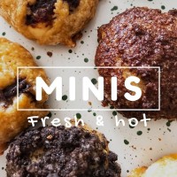 MINIS logo - Similar company to Minis