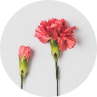 Endless Range OU logo - Similar company to Introwise - Business Platform For Experts