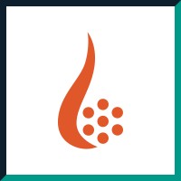 Perdaman Advanced Energy logo - Similar company to Envaica