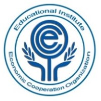 ECO Educational Institute logo - Similar company to Fiveoceans Ltd