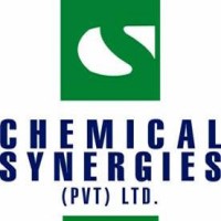 Chemical Synergies logo - Similar company to Chemical Process Design & Simulations