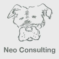 Neo Consulting logo - Similar company to The Seeker