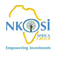 NKOSI Africa group logo - Similar company to Hillking Ltd