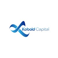 Kobold Capital logo - Similar company to Ip Insiders