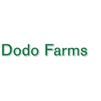Dodo Farms logo - Similar company to She-Eo