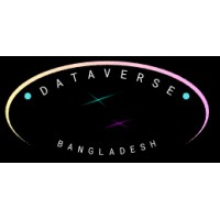 DataVerse Bd logo - Similar company to Miils