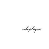 Adaptique logo - Similar company to Desiloop