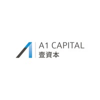 A1 Capital Partners Ltd logo - Similar company to Jst Group