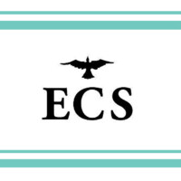 Ellis Crow Solutions logo - Similar company to Belen Agency