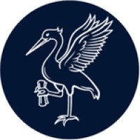 David Rosen & Co logo - Similar company to Davis Woolfe Limited