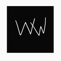 WiseWolf logo - Similar company to Wise Wolf Consulting