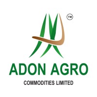 Adon Agro Commodities Limited logo - Similar company to Falloutverse