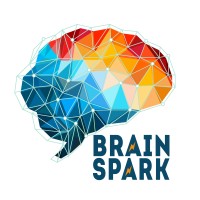 Brainspark logo - Similar company to Motion Tiger Limited