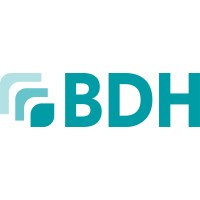BDH - Bilisim Destek Hizmetleri logo - Similar company to Netaş