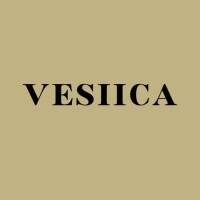 VESIICA Jewelry logo - Similar company to Maycam Evolve Gaming Esport Team