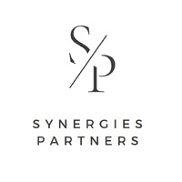 DV CONSULTING - SYNERGIES PARTNERS logo - Similar company to Reeady
