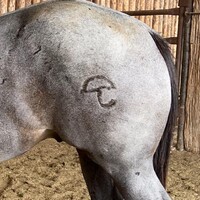 Sundown Ranch LLC logo - Similar company to Merit Resource Services