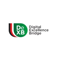 Digital Excellence bridge. logo - Similar company to Radical Change