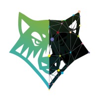 DigiWolves Pvt Ltd. logo - Similar company to Scorpius Technology Pvt. Ltd.