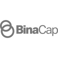 Binacap logo - Similar company to Cyfer Plus