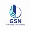 GSN & CO. logo - Similar company to Lalit Khurana