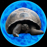 radical inclusivity logo - Similar company to Kpfa Radio