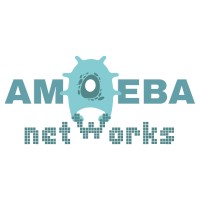 Amoeba Networks logo - Similar company to Lammtech