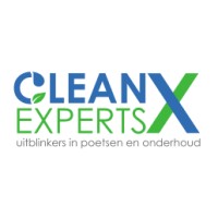 Clean Experts logo - Similar company to Di Legno