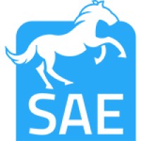 SAE TRASPORTI - Società Autotrasporti Eccezionali S.r.l. logo - Similar company to Sae Logistics