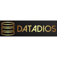 datadios logo - Similar company to Nfolks Data Solutions