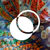 WePlanet Belgium logo - Similar company to Weplanet Australia