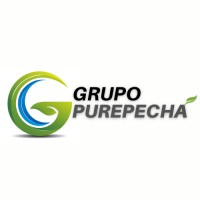 Grupo Purepecha logo - Similar company to Acoustic Freezing B.V.