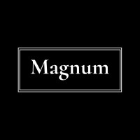 Magnum Hotel Group logo - Similar company to Vive Retamar