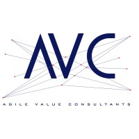 Agile Value Consultants logo - Similar company to Fits Digital