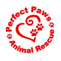 PERFECT PAWS ANIMAL RESCUE logo - Similar company to Points United Llc