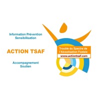 Action TSAF logo - Similar company to Excellence Pro Pays De La Loire