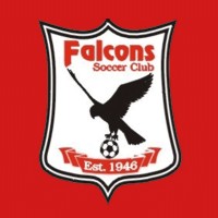 Ottawa Falcons logo - Similar company to Ottawa Tfc
