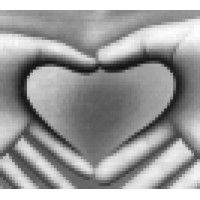 The Healing Place logo - Similar company to Personalgrowth.Com