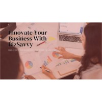 BizSavvy Innovations logo - Similar company to Echo Dynamics