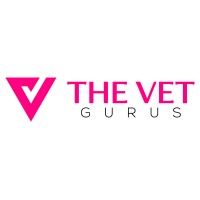 The VET Gurus logo - Similar company to Vivacity Coaching & Consulting