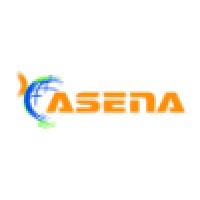 ASENA Consulting logo - Similar company to Seinon. Software Cloud De Gestión Energética