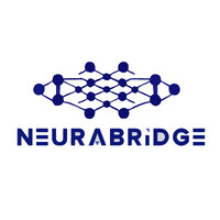 Neurabridge logo - Similar company to Heatwave Interactive