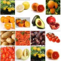 Planet Israel Farms - Export Fresh Citrus, Fresh Fruits, Fresh Vegetables logo - Similar company to Vegimania Ltd