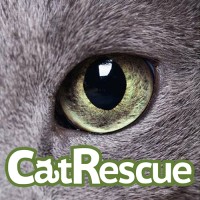 CatRescue asbl logo - Similar company to Volont'R