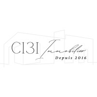 C13I logo - Similar company to Develink ⚓️