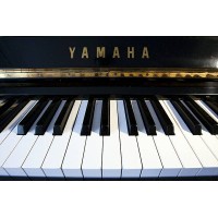 Rapture Of Music
