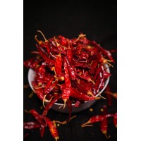 SRI SHIVSHAKTI SPICES logo - Similar company to Cronos Global Solutions