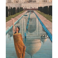 Private Tour Guide India logo - Similar company to Trawellvia